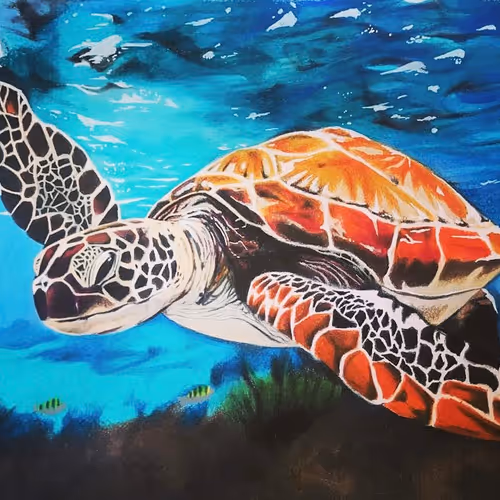 Untitled Collection #455552209