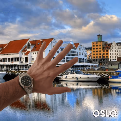 Item #20886832718642689244376634643648949640883698673827989316943493468433055481857 Media