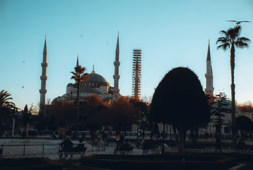 Item #73489887461372709665439436007300418494535149952258431256180652933967031304197 Media