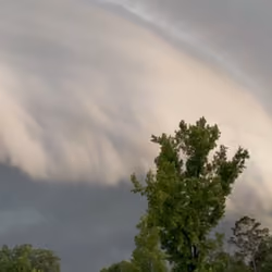 Country Living Storm #2