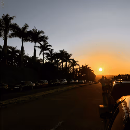 Item #42371708316015035804653308093139138598613107876517934913588075189697322680321 Media