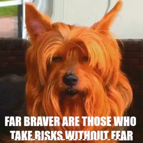 Item #24641453839621982763882949117927398230661196561047831968327781224421598953492 Media