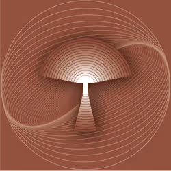 44389263826814386673014799933743367647230617036870236740292477146426870071297