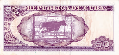 "UBRE BLANCA" La vaca de Fidel