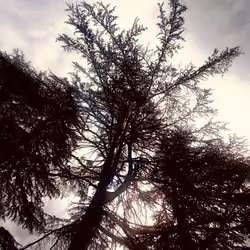 Skylapse