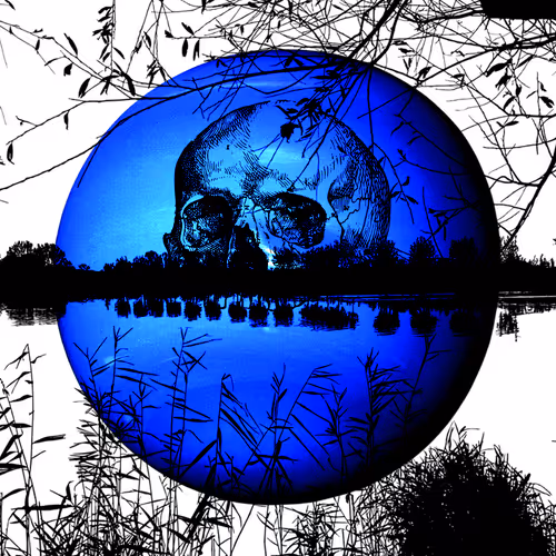 Item #86467537958853207674168911318489682303952846450794168000903024318598051004417 Media