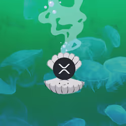 33586727116983499547203017733785993163629314656120018214782717866969227329537