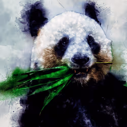 11276162529628641556553056529614973332754405277106184420845745034517289107457