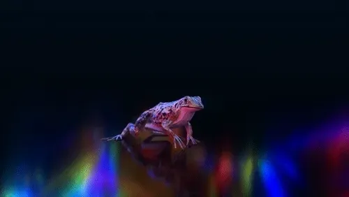 Item #46309273580668585717704670059971957609077958138247649876342920521808101868954 Media