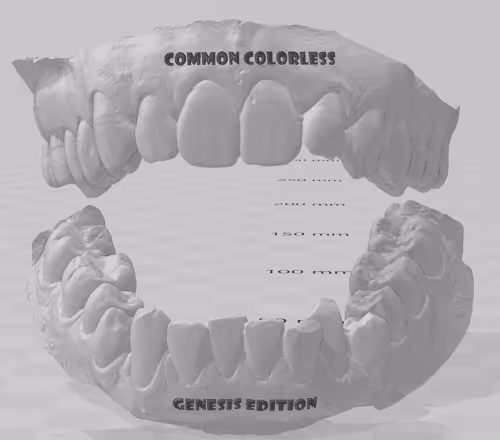 Item #74035560346552783570607580472892443654118211403843108504331970261800982683648 Media