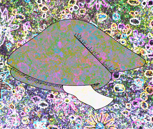 Item #56177743258238353915692039261457950691196406802314425732675602492616609890314 Media