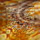 27757516014762062497309034600511260599553362447648551893153608335099835711489