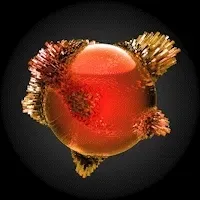 Item #77898949108547955850781157610654916283937467032158407396598647601673449504769 Media