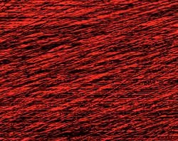 red black