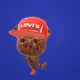 11749323609836859889749205905330917544091214190733948845967799924391241842689