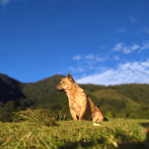 Untitled Collection #75561521