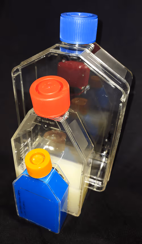 Item #108955583872739655741702358868652756405273862791069305959596897694010298073089 Media