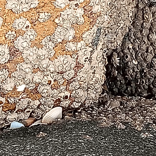 Item #46350826922713376961135555411304900681353911078393456455611000790808134680577 Media