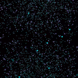 Soothing Orbs #17