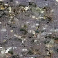 51505744279772251808310948570193708993242265706659681932624859494632436793345