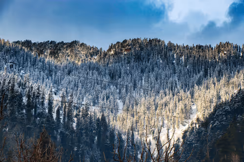 Item #109980672085009053245204240286597160997674954675276391308210483281999733719041 Media