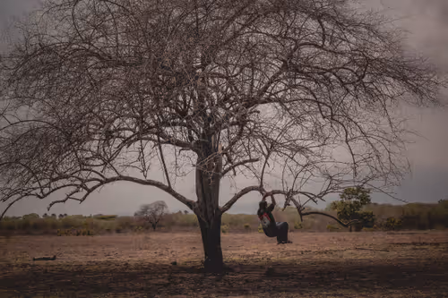 Item #15709269728646852126049272894574839328687502464243742545673593247842995011599 Media