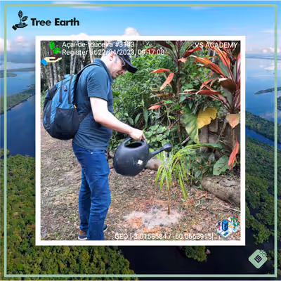 Item #8500196597889277390194123329501889087166328879864934763448349321795081338881 Media