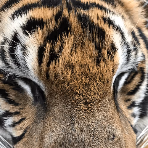 Untitled Collection #47997550