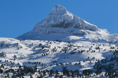 Item #61601413983432262200822046408210296549184035160504594584973518397444198498314 Media