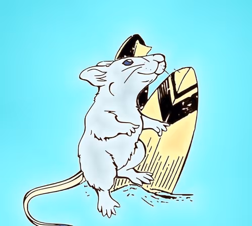 Item #104976868819530487103614229481851938141093874891134368624508149075048782627816 Media