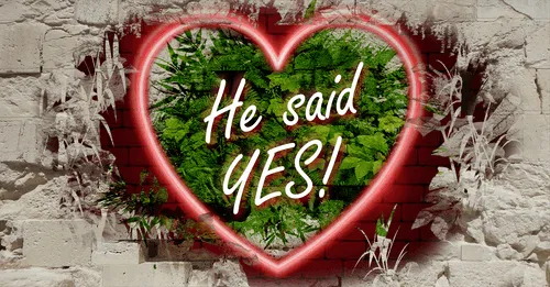 Item #68053287575525751288269231675427811746861684968250582901590729407815183499364 Media