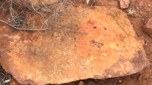 Item #28276157551077297175944571750841174861794122548634016422838007489561603604580 Media