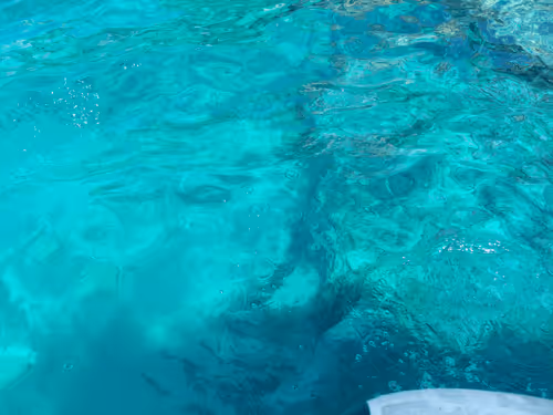 43505702085321246701285015339688837487321998718285252344027785152345321504769