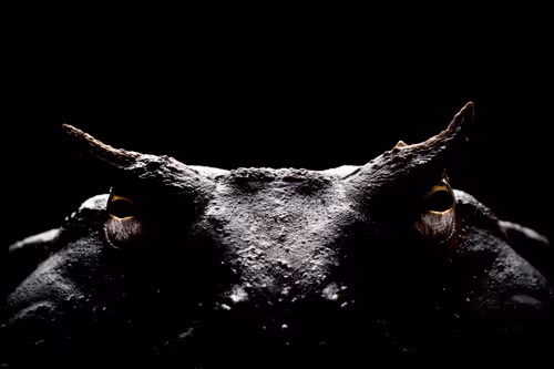 12841711948620845380596362658338118860894478896663827782744557036382697029633