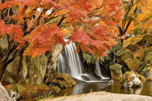 Item #57500777146630575946577095309021128773134385874289132035968473239357440917505 Media