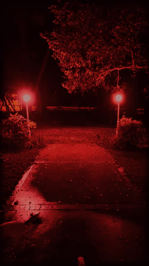 Item #19783550514114354952123947617175558827509965529992471593750621658430228660225 Media