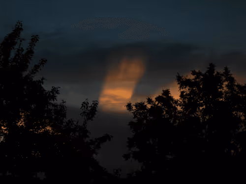 Item #55297223282317197917185791022658401724226762533250968792427961315731234095105 Media