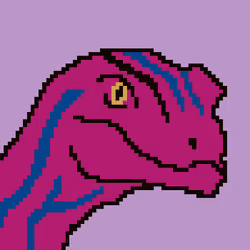 BitRaptor 10
