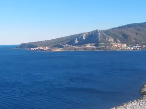 Untitled Collection #180286050