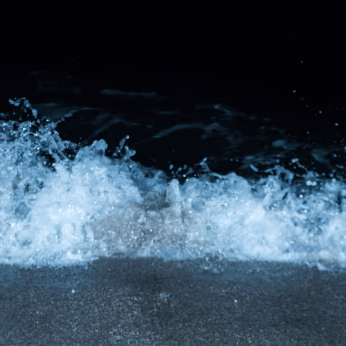 Item #65334289746679534718729475887804441956060191570096093289886828055295191678977 Media