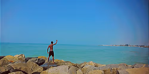 Item #41608925496439583284809555663885876184163164530978979239857956432026240286730 Media