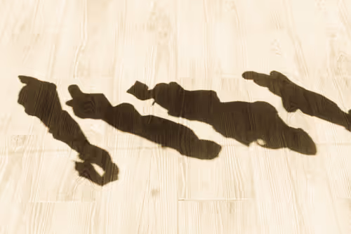 Item #28964163645654338143152172792436298071514431193908070684928163998761654157313 Media