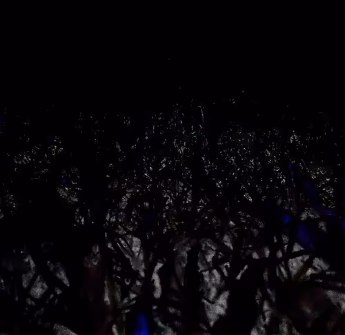 Item #68479161842636701057438961051542017152281123064952545295620238269197240500225 Media