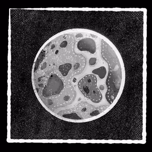 Item #12618317395085495808119660085901671387732414975085101892039961334483196575745 Media