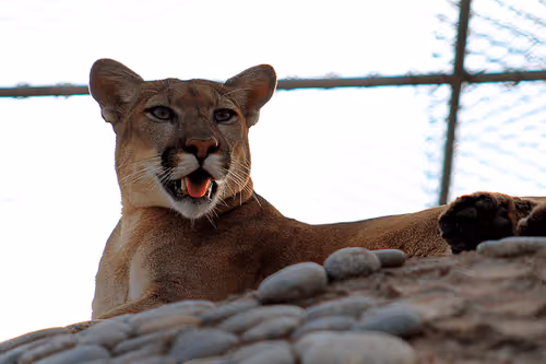 Item #81039049813216597257953829520223769972049979763513540310904561873763686154241 Media