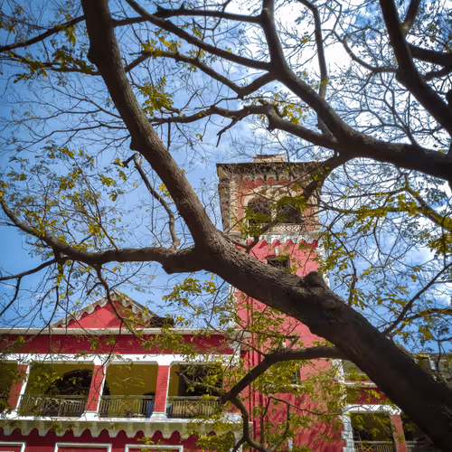 Item #25616082582926581849828542289953210650844898071757148195180127669444193288193 Media