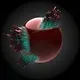 77898949108547955850781157610654916283937467032158407396598647558792496021505