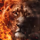 lion within lion the fire within