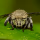38213716054189296904136792514743093598447581734081249602628116689310835539969