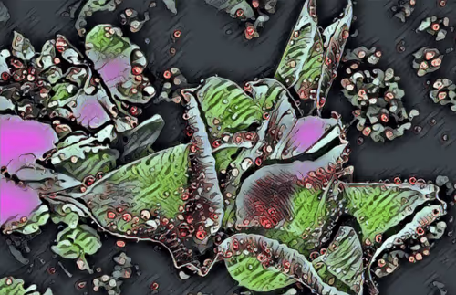 Item #7995611344247337094109922960175663296053708929602191470286983631302735953921 Media